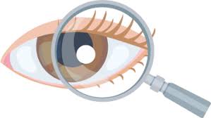 Opticien Traditionnel