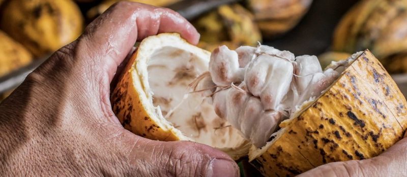 La brigaderie de Paris (Chocolats grands crus du Brésil)