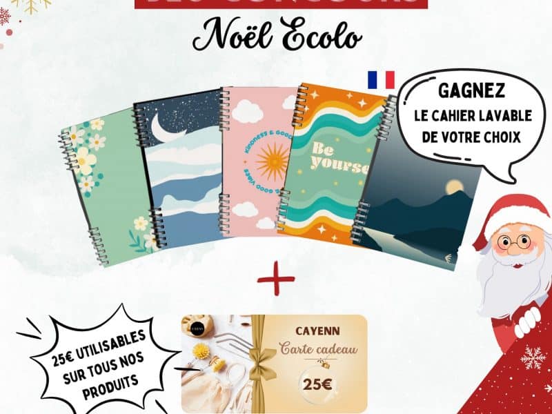 Econotes (Les cahiers effaçables et réutilisables)