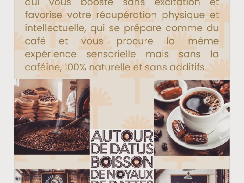 DACTUS (Coffee, Alternative à base de noyaux de dattes)