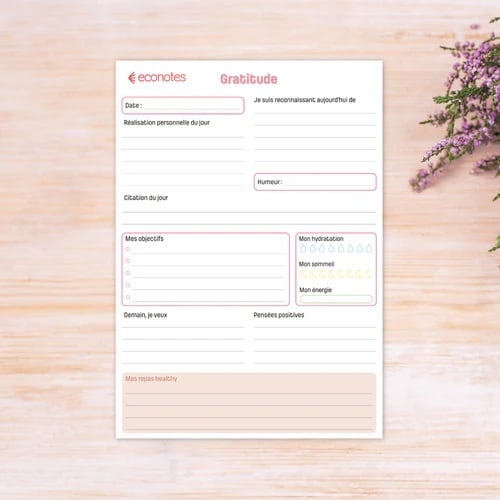 Econotes (Les cahiers effaçables et réutilisables)