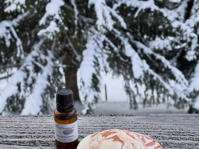 Rockaroma (Galets en argile diffuseur)