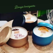 Luminante (La bougie qui devient plante)