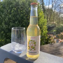 Galatea kombucha (Boisson naturelle, alternative au sodas)