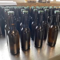 Galatea kombucha (Boisson naturelle, alternative au sodas)