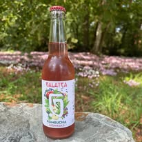 Galatea kombucha (Boisson naturelle, alternative au sodas)