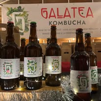 Galatea kombucha (Boisson naturelle, alternative au sodas)