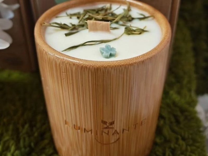 Luminante (La bougie qui devient plante)