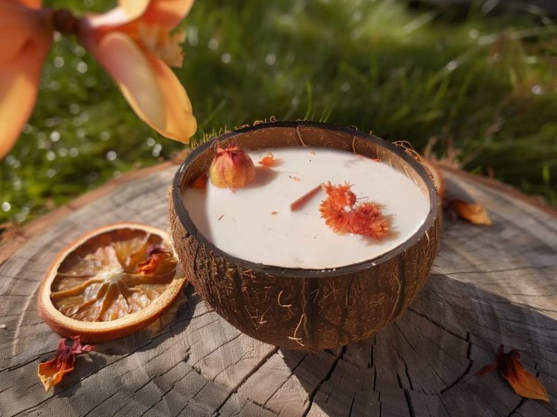 Luminante (La bougie qui devient plante)