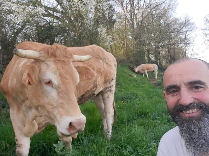 La Ferme COUTANT AND COW (viande de veau et bœuf bio)
