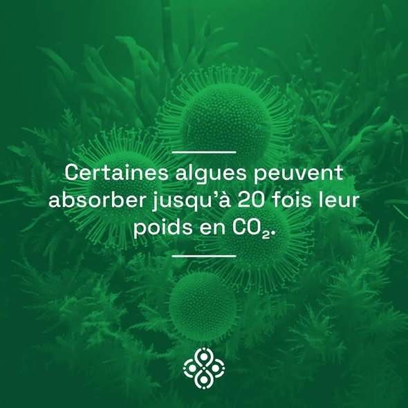 Bioteos (microalgues pour dépolluer l’air)