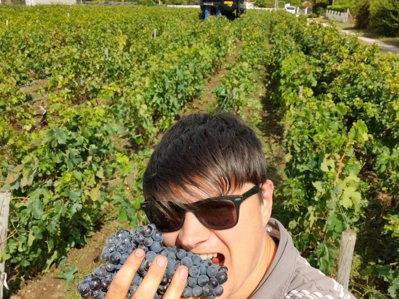 Château Vieux Landat (vins & spiritueux HVE, AB)