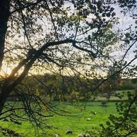 La ferme de Grandchaud (circuit court)