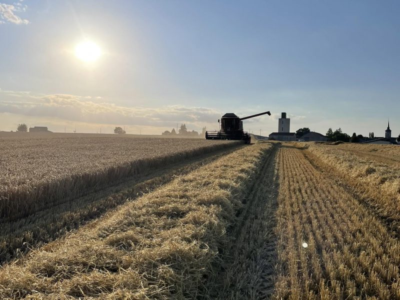 L'Atelier CONTAL (Paysan Meunier Biscuitier)