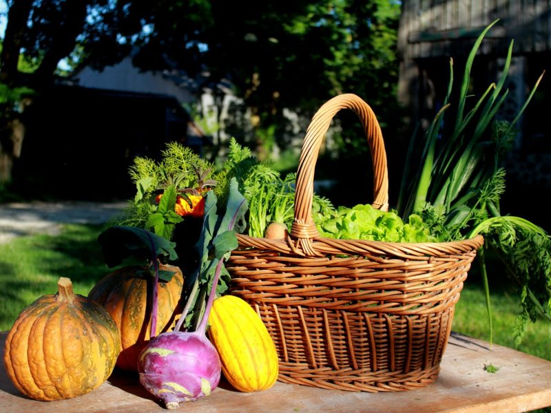 Ferme collective de Belêtre (céréales et boulangerie en AB).