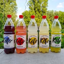 LE LABO DU MOULIN (Kéfir de fruits - entreprise à mission)